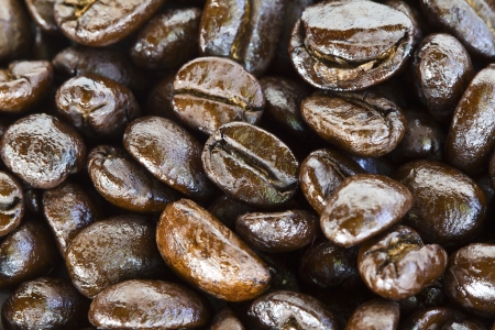 Close up of coffee beans on white background with copy space.の写真素材