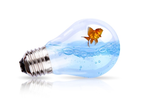 Light bulb with water and fish insideの写真素材