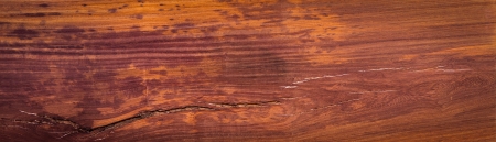 Wood texture backgroundの写真素材