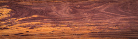 Wood texture backgroundの写真素材