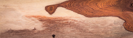 Wood texture background