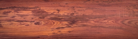 Wood texture backgroundの写真素材