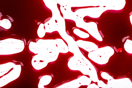 Halloween concept : Blood splatter on white backgroundの写真素材