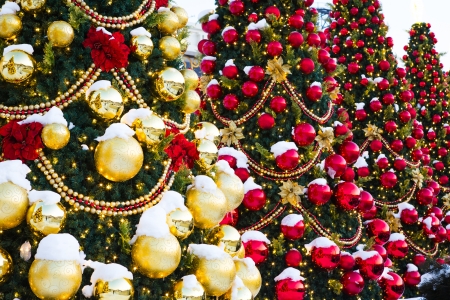 Christmas decoration with snowの写真素材