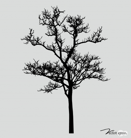 Abstract tree. Vector Illustration.のイラスト素材