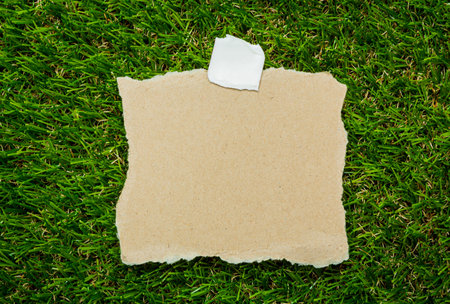 Blank recycled note paper on green grass backgroundの写真素材