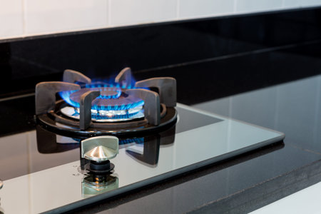 Kitchen gas stove