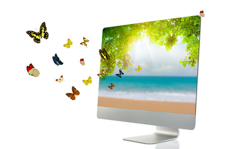 Computer display with butterfly isolated on white backgroundの写真素材