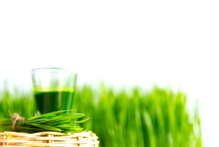 Shot glass of wheat grass with fresh cut wheat grassの写真素材