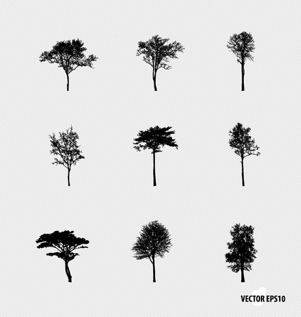 Set of tree silhouettes. Vector illustration.のイラスト素材