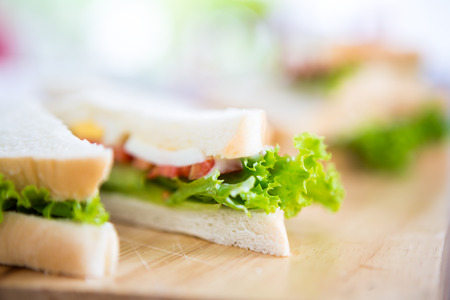 Sandwich with vegetablesの写真素材