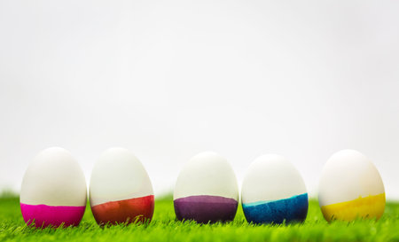 Easter Eggs on Fresh Green Grass