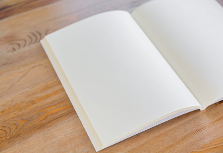 Blank catalog, magazines,book mock up on wood background