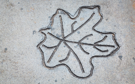 Leaf impression in stoneの写真素材