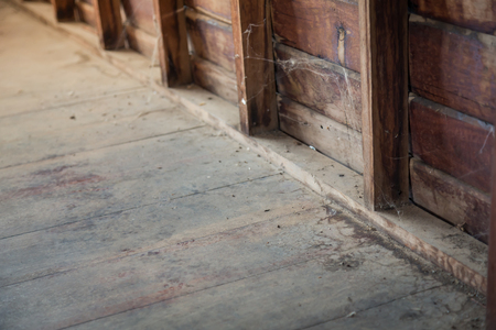 Old room and wooden wallの写真素材