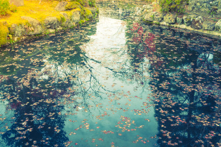 Autumn forest with river ( Filtered image processed vintage effect. )