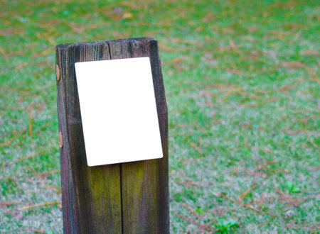 Wood sign on grassの写真素材