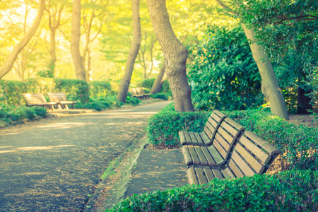 Wooden bench in the park ( Filtered image processed vintage effect. )の写真素材