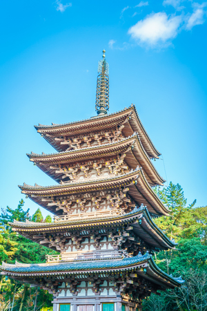Daigo-ji temple  in autumn, Kyoto, Japanのeditorial素材