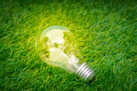 Eco concept - light bulb grow in the grassの写真素材