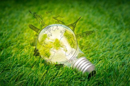 light bulb grow in the grass  with travel place (Japan,France,Italy,New York,India,egypt)