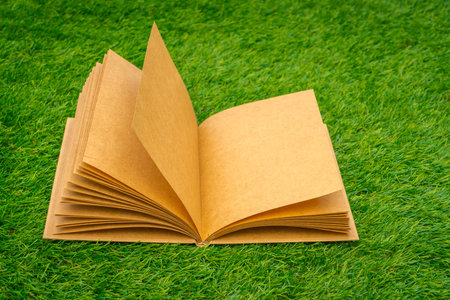 Blank catalog, magazines,book mock up on  green grassの写真素材