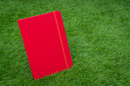 Notebook on spring green grass