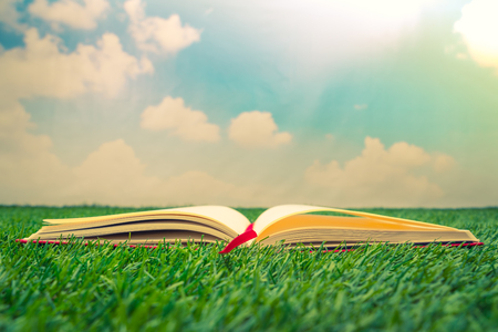 Notebook on spring green grassの写真素材