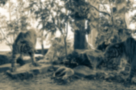 Abstract blur  forest landscape at nightの写真素材