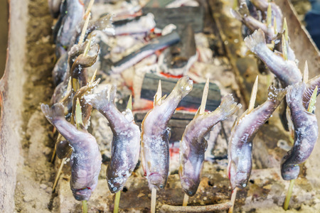 Fish with salt being grilled outdoors in Japanの写真素材