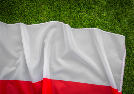 Flags of Poland on green grassの写真素材