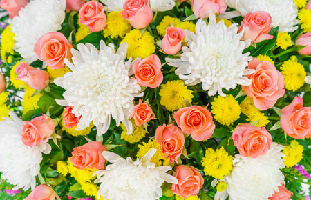 Beautiful flowers  for valentines and wedding sceneのeditorial素材