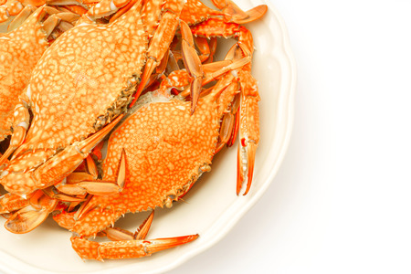 Steamed crabs on white backgroundの写真素材
