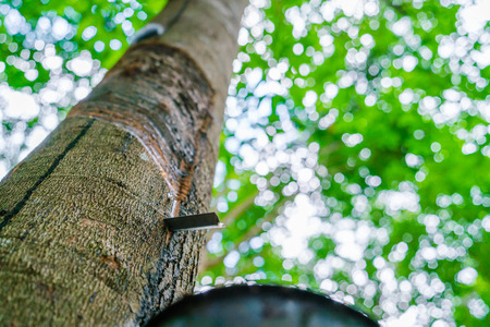 Arrayの写真素材