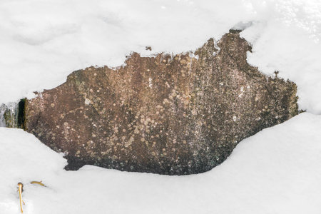 Snow backgroundの写真素材