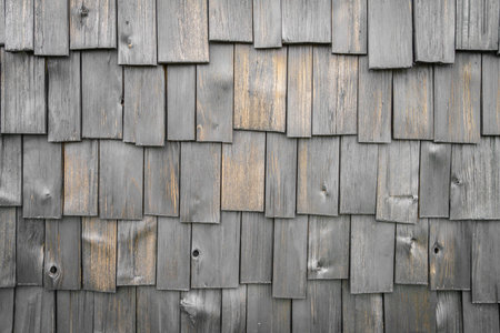 Wood texture background