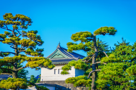 Beautiful  Imperial Palace in Tokyo, japanのeditorial素材