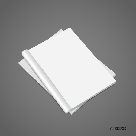 Blank catalog, magazines,book mock up. Vector illustration.のイラスト素材