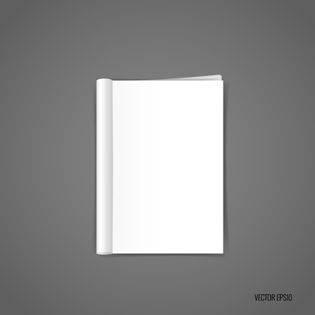 Blank catalog, magazines,book mock up. Vector illustration.のイラスト素材