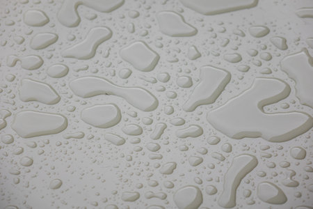 Water drops on white blackgroundの写真素材