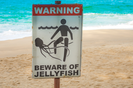 Jellyfish warning sign at  beachの写真素材