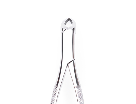 Dental tools and equipment on white background.の写真素材