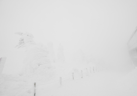 Snow Monsters area Mountain Zao, Japanの写真素材