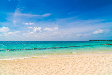 Beautiful tropical Maldives island with white sandy beach and seaの写真素材