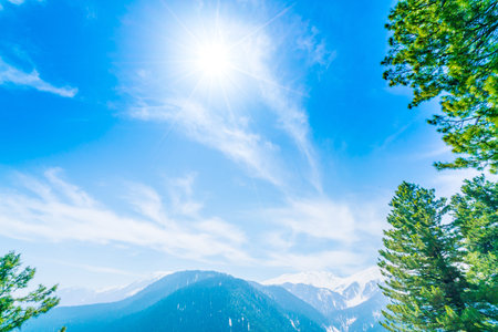 Beautiful tree and snow covered mountains landscape Kashmir state, India