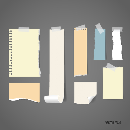 Blank catalog, magazines,book mock up and white note papers. Vector illustration.のイラスト素材