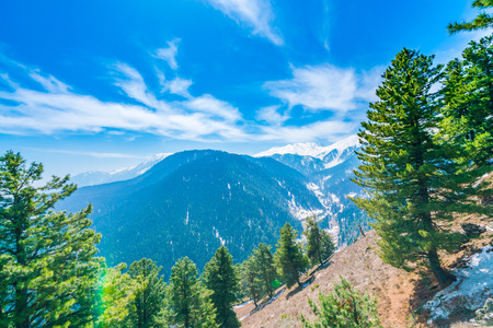 Beautiful tree and snow covered mountains landscape Kashmir state, Indiaの写真素材