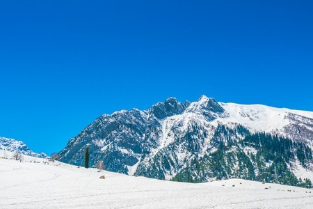 Beautiful  River and snow covered mountains landscape Kashmir state, Indiaの写真素材