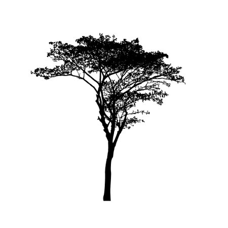 Tree silhouettes on white background. Vector illustration design.のイラスト素材