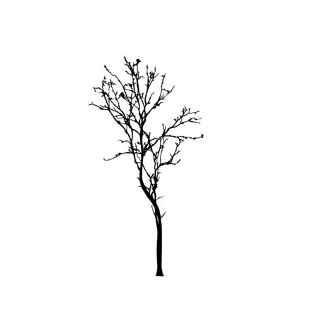 Tree silhouettes on white background. Vector illustration design.のイラスト素材